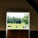 Sophienhof Lieselotte Appartement
